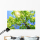 A Tall Tree Wall Mural