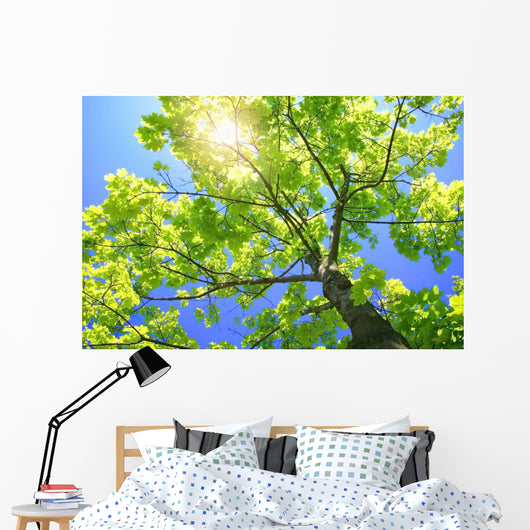 A Tall Tree Wall Mural