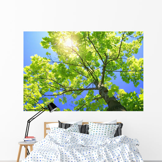 A Tall Tree Wall Mural