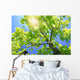 A Tall Tree Wall Mural