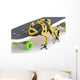 Frog On A Skateboard Wall Mural