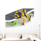 Frog On A Skateboard Wall Mural