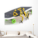 Frog On A Skateboard Wall Mural