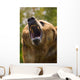 Bear With Open Mouth Wall Mural