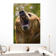 Bear With Open Mouth Wall Mural