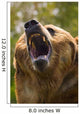 Bear With Open Mouth Wall Mural