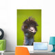 Ostrich Wall Mural