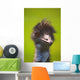 Ostrich Wall Mural