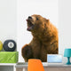 Bear With Tongue Out Of Mouth Wall Mural