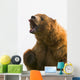 Bear With Tongue Out Of Mouth Wall Mural