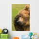 Bear With Paw Over Eye Wall Mural
