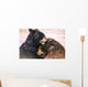 Bears In Water Wall Mural