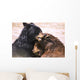 Bears In Water Wall Mural