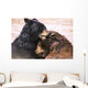 Bears In Water Wall Mural
