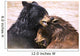 Bears In Water Wall Mural
