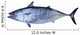 Little Tunny Catch Tuna Fish Seafood Wall Decal