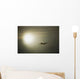 Airplane Wall Mural