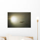 Airplane Wall Mural