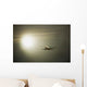 Airplane Wall Mural