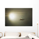 Airplane Wall Mural