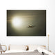Airplane Wall Mural
