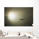 Airplane Wall Mural