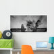 Plane Wall Mural