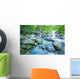 Fast Flowing River Wall Mural