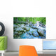 Fast Flowing River Wall Mural