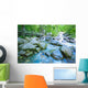 Fast Flowing River Wall Mural