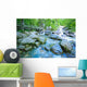 Fast Flowing River Wall Mural