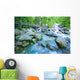 Fast Flowing River Wall Mural