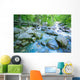 Fast Flowing River Wall Mural