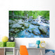 Fast Flowing River Wall Mural