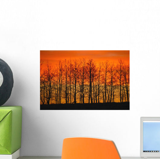 Silhouette Of Trees Against Sunset Wall Mural