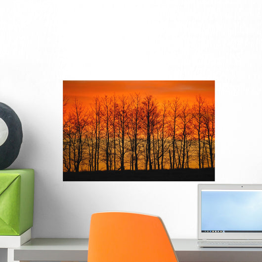 Silhouette Of Trees Against Sunset Wall Mural