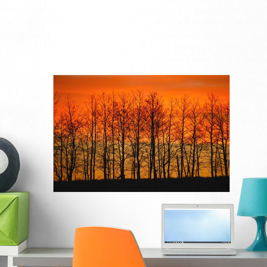 Silhouette Of Trees Against Sunset Wall Mural