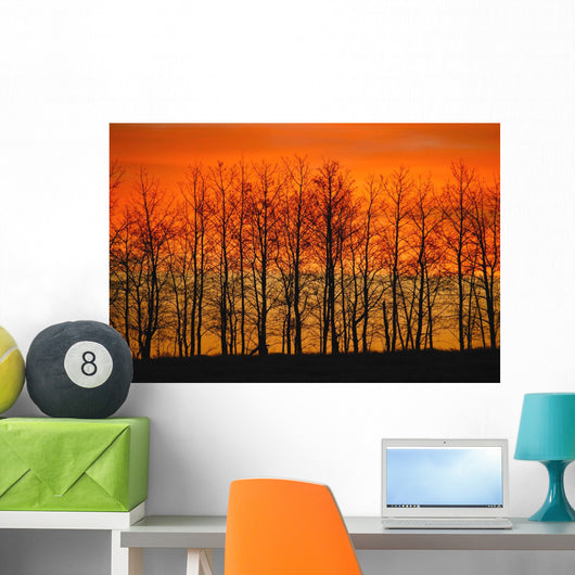 Silhouette Of Trees Against Sunset Wall Mural