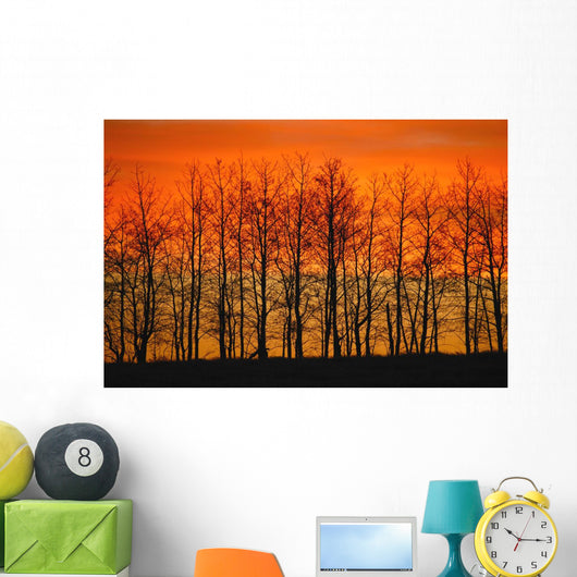 Silhouette Of Trees Against Sunset Wall Mural