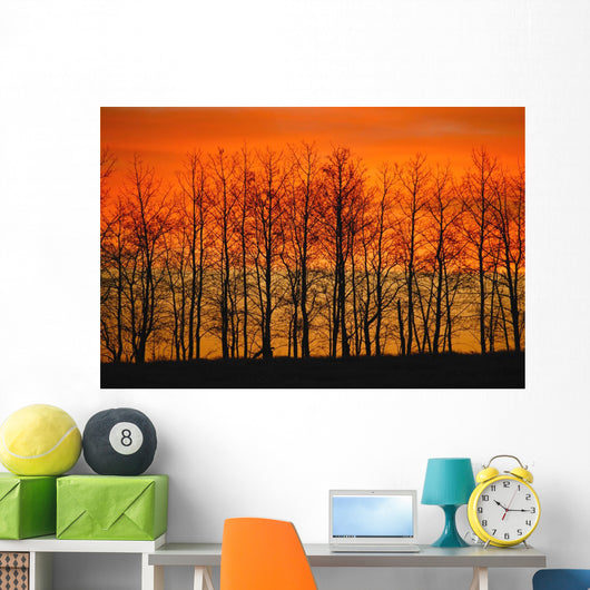 Silhouette Of Trees Against Sunset Wall Mural
