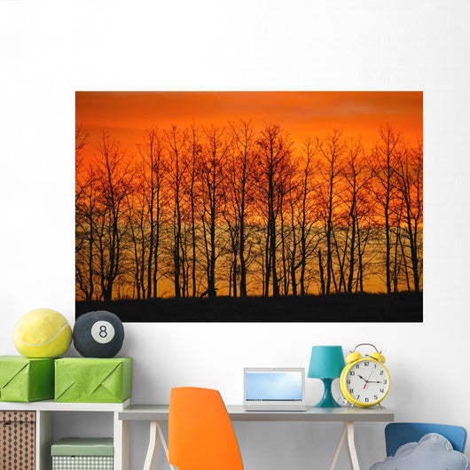 Silhouette Of Trees Against Sunset Wall Mural