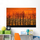 Silhouette Of Trees Against Sunset Wall Mural