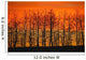 Silhouette Of Trees Against Sunset Wall Mural