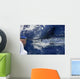 Atlantic White Marlin Big Game Sportfishing Wall Mural