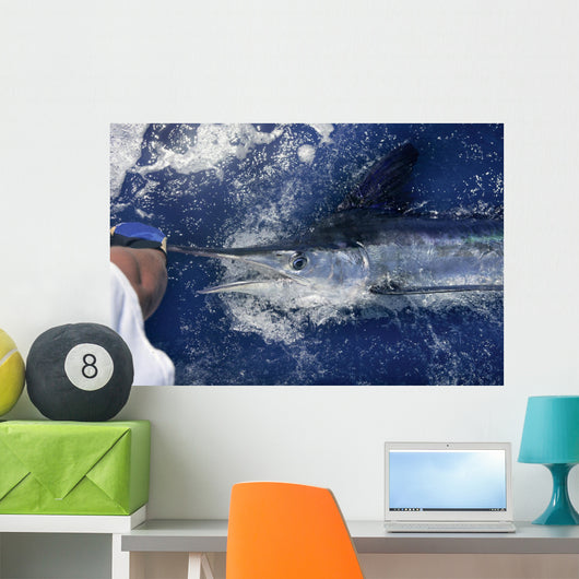 Atlantic White Marlin Big Game Sportfishing Wall Mural