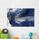 Atlantic White Marlin Big Game Sportfishing Wall Mural
