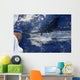 Atlantic White Marlin Big Game Sportfishing Wall Mural
