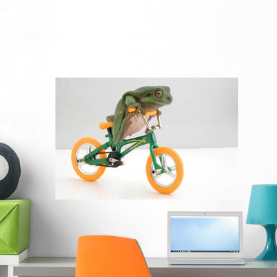 Frog Bicycle Wall Mural shown on a wall