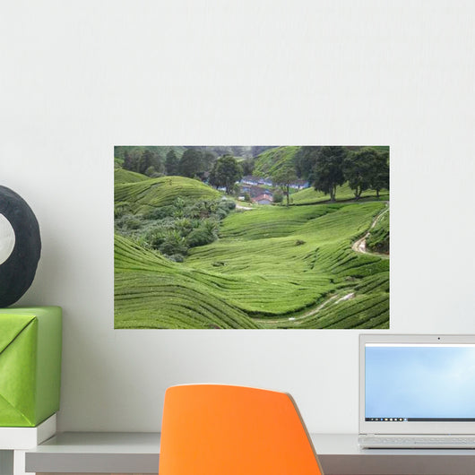 Anbau Von Tee Malaysia Wall Decal