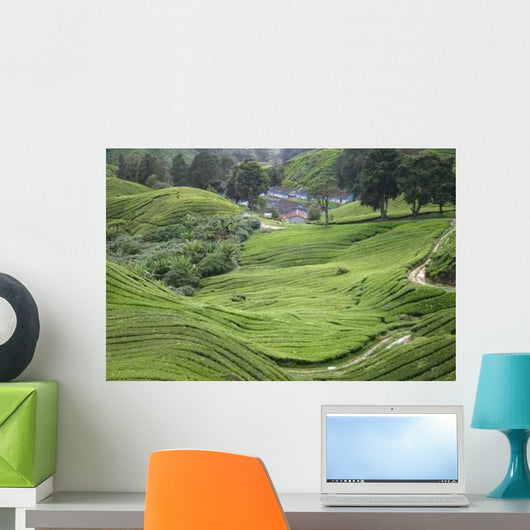 Anbau Von Tee Malaysia Wall Decal